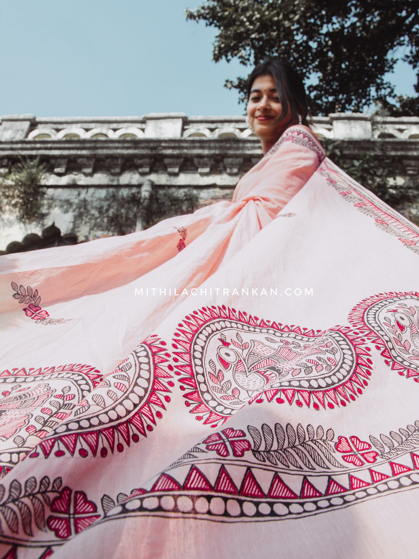 Blush Pink Madhubani Saree